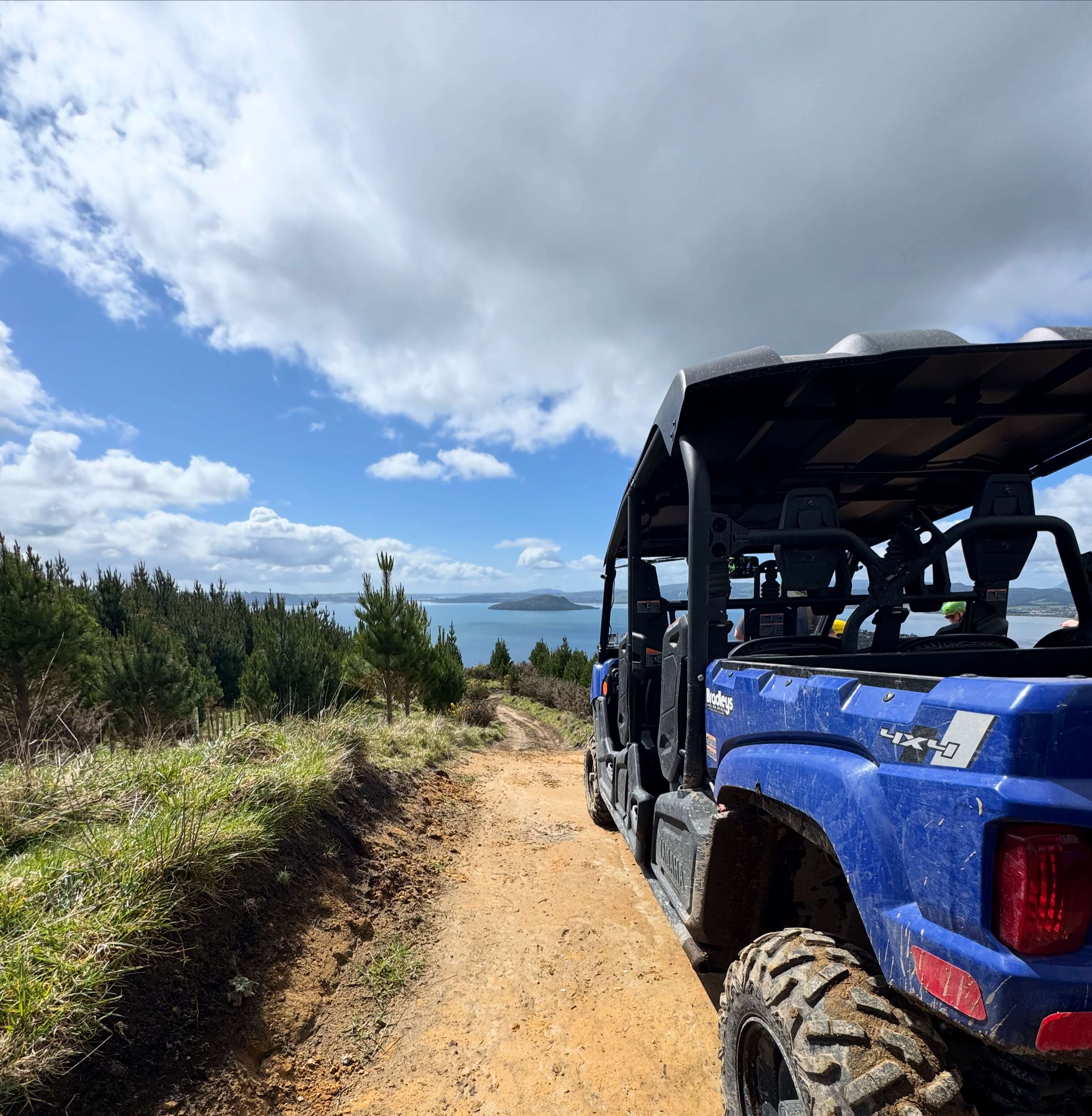 Rotorua 4WD Buggy Experience Through Native Bush & Scenic Lookouts! - Image 2