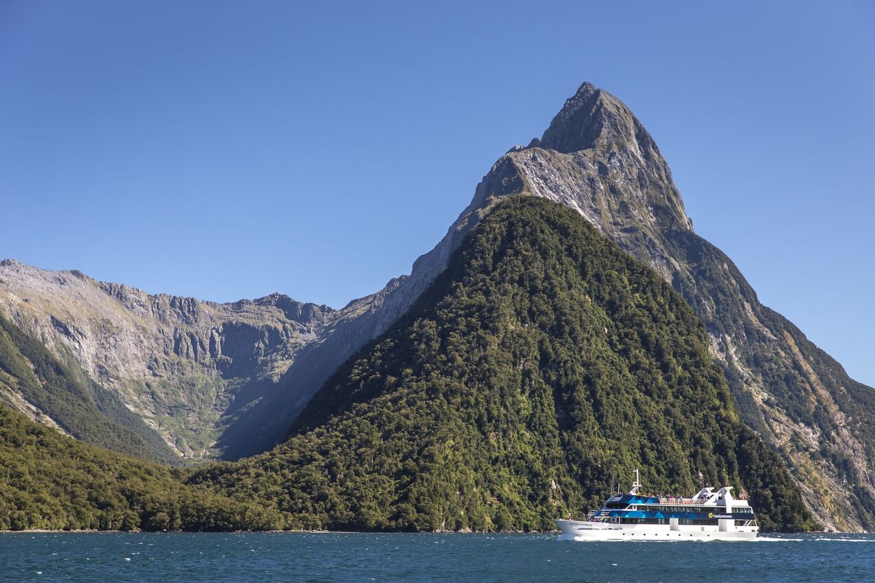 Milford Sound Signature Nature Cruise with Panoramic Fiord Views! - Image 3