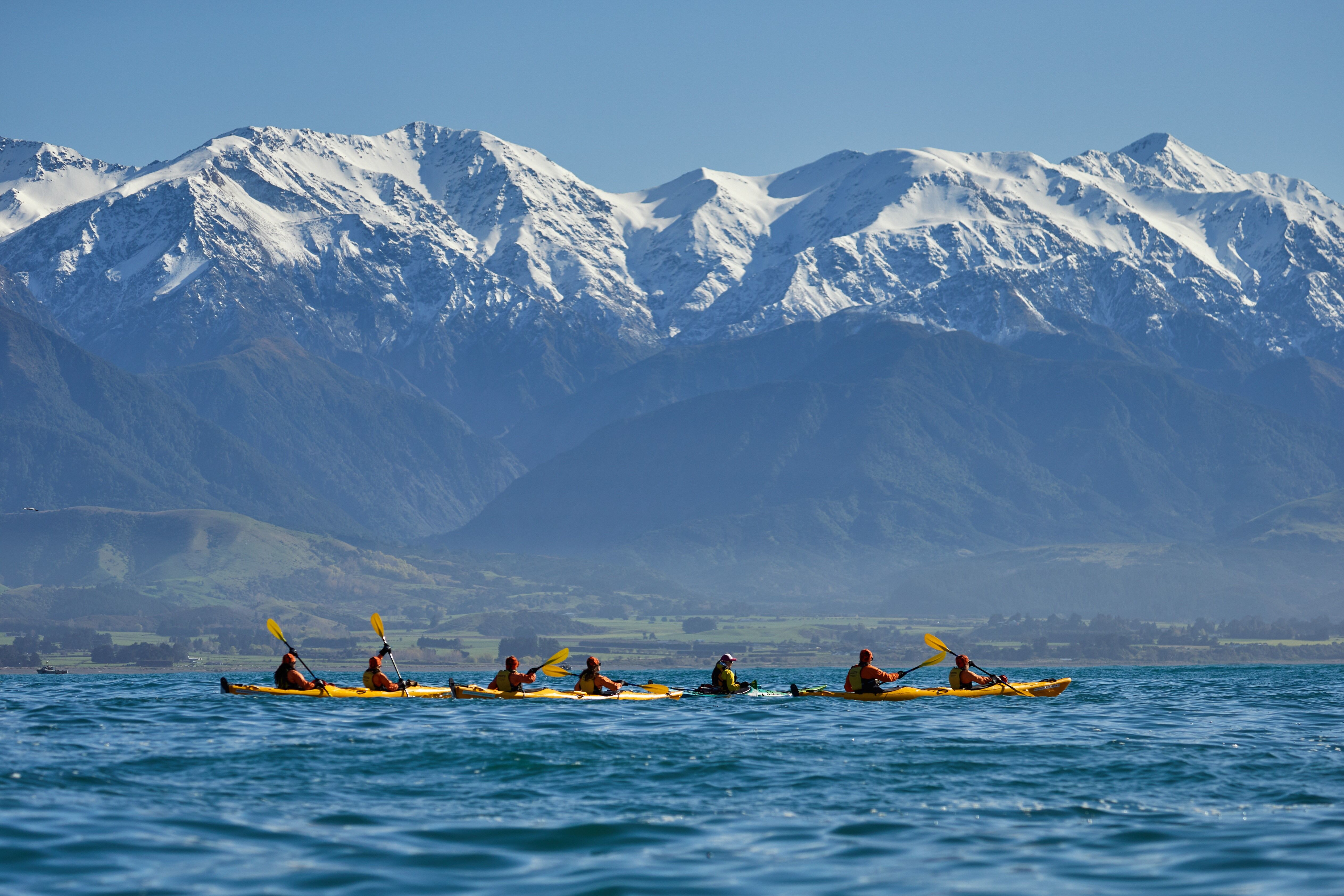 Guided Wildlife or Sunset Kayak off the Kaikoura Peninsula! - Image 2
