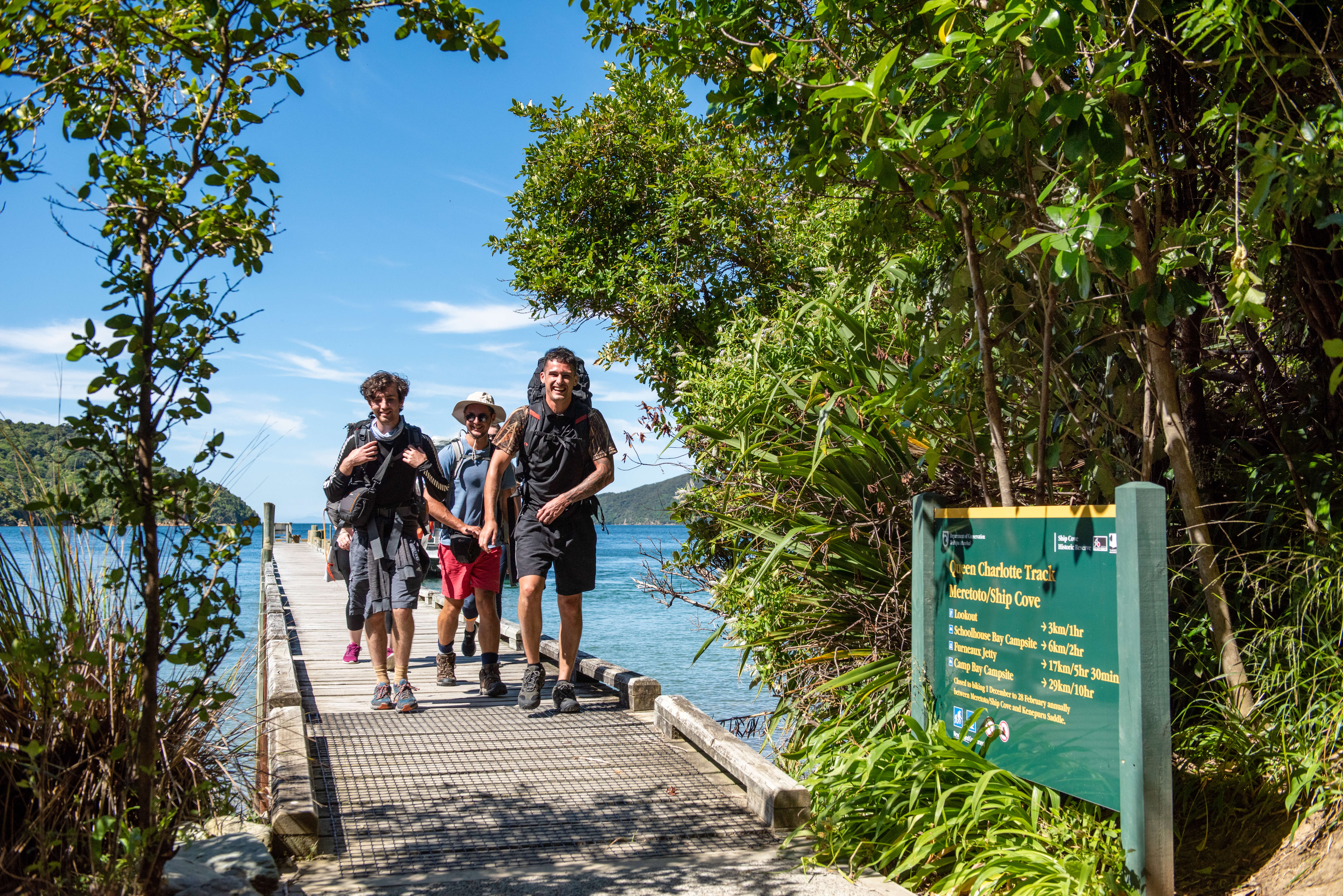 Walk a section of the famous Queen Charlotte Track - including boat transfers! - Image 4