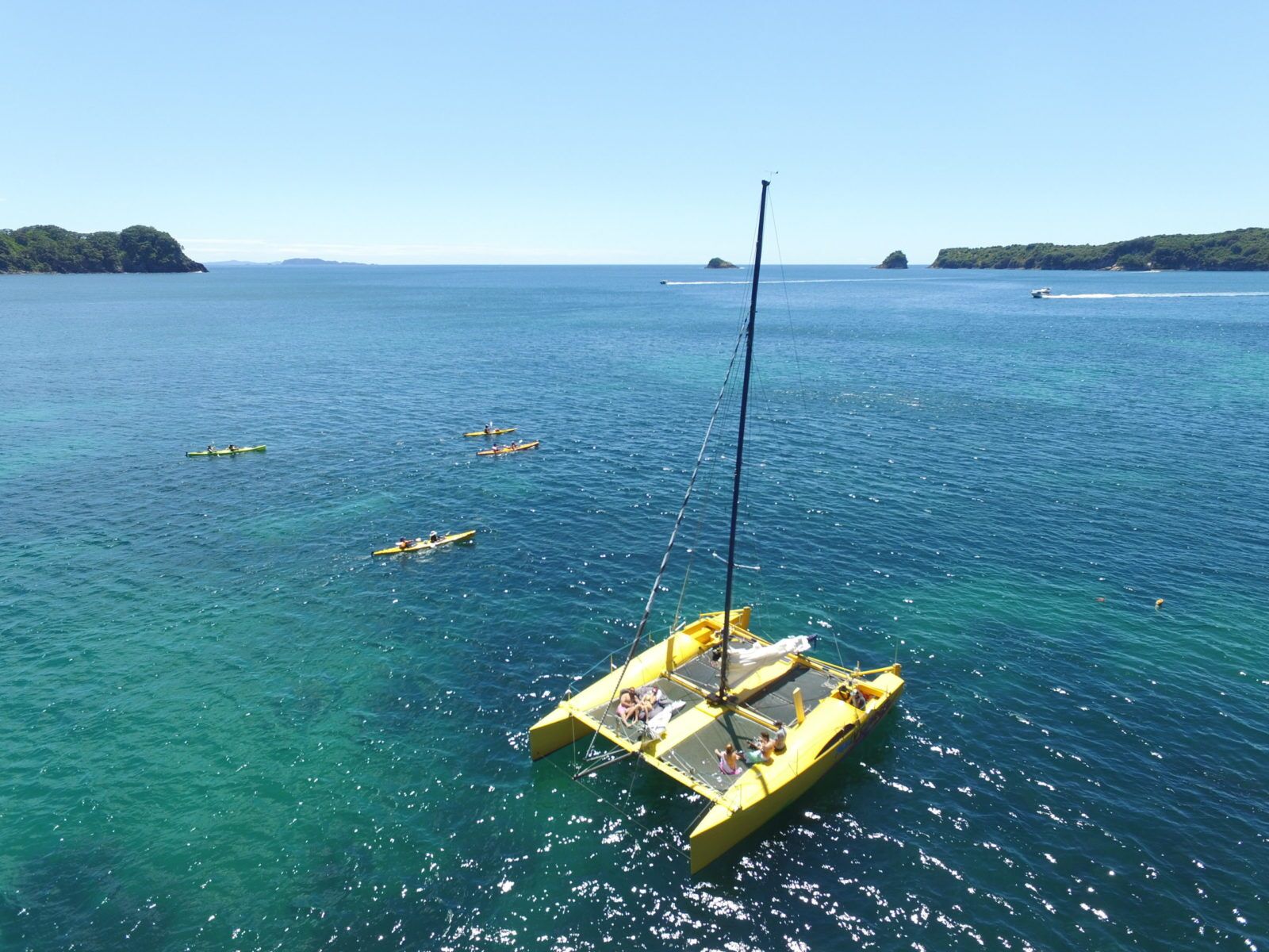 Cruise to Cathedral Cove and relax, swim or snorkel in an incredible marine reserve! - Image 3