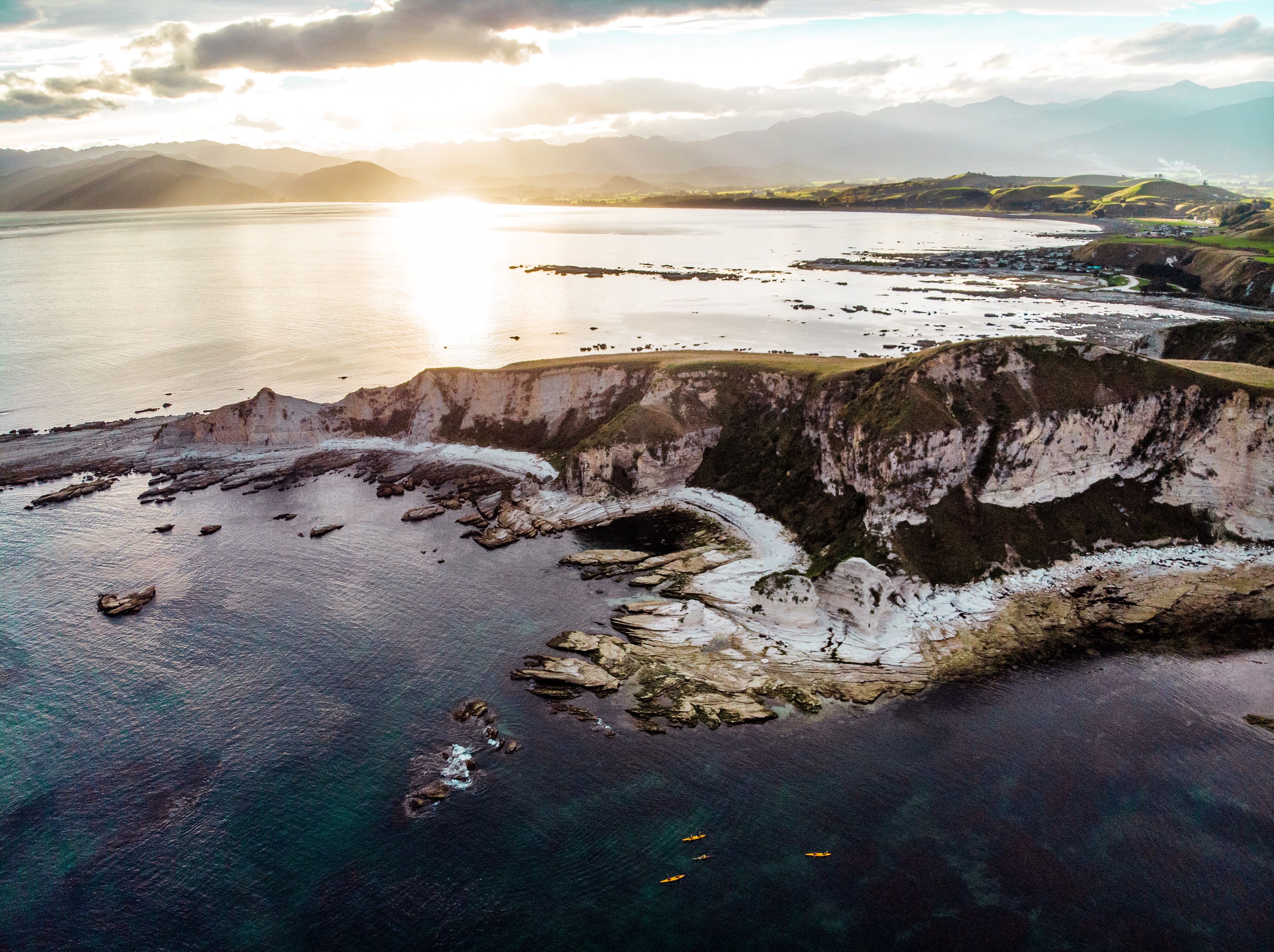 Guided Wildlife or Sunset Kayak off the Kaikoura Peninsula! - Image 3