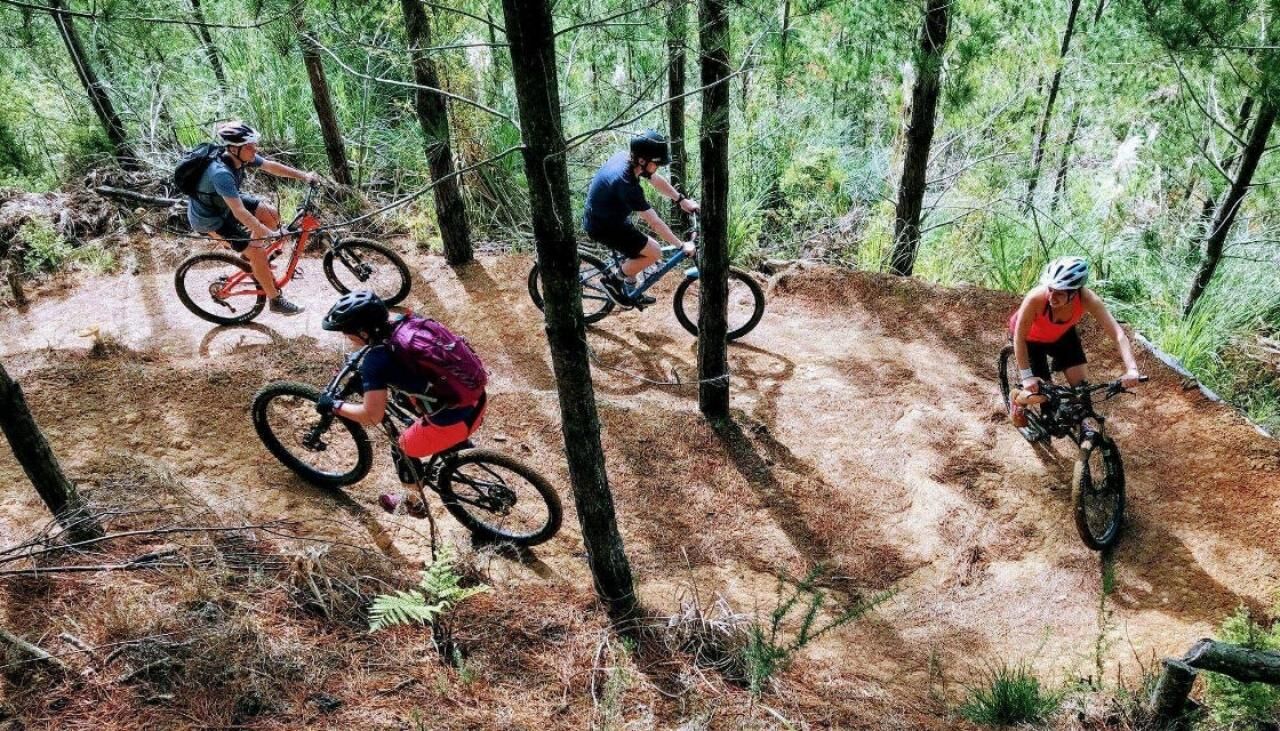 Explore Waitangi Mountain Bike Park Trail Chuffed Gifts