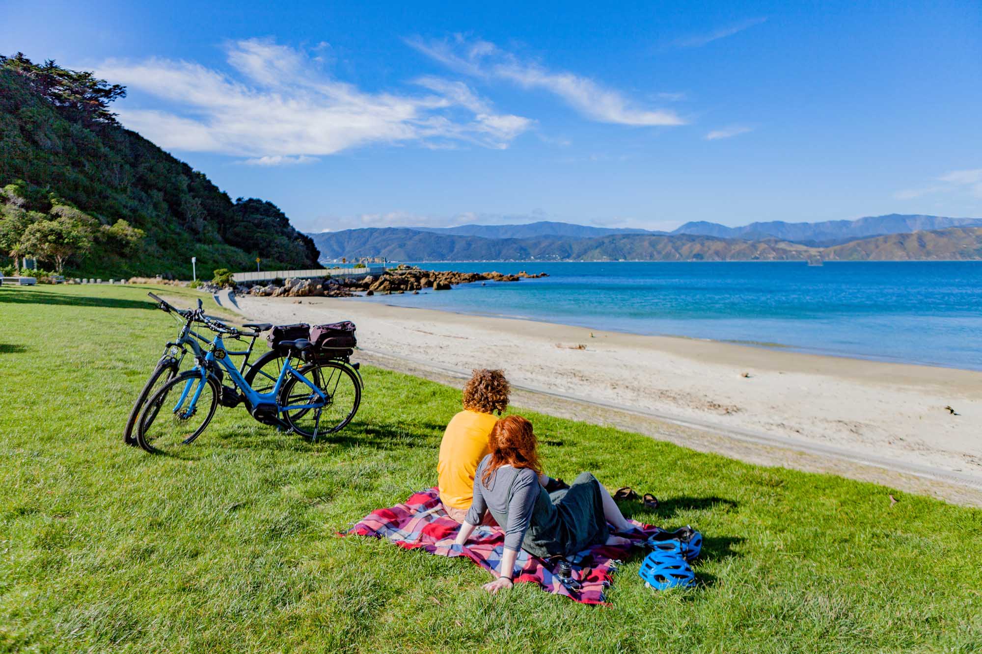 Explore Wellington Full Day Cycle Tour Scorching Bay Chuffed Gifts