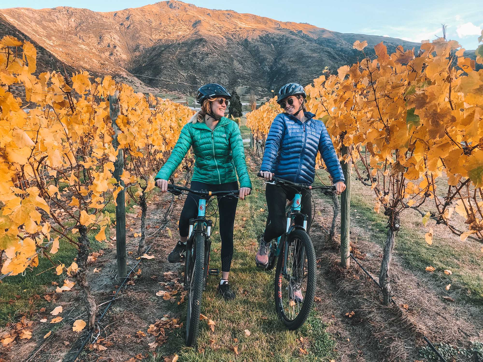 Full Day E-Bike Tour of Wineries