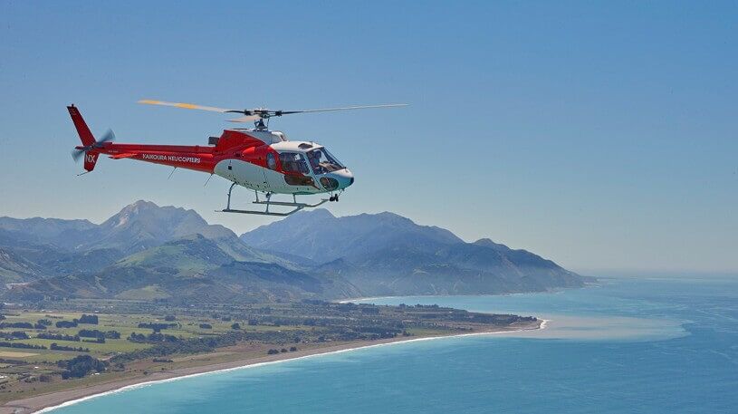 Kaikoura Whale Watching Heli Flight - Image 3