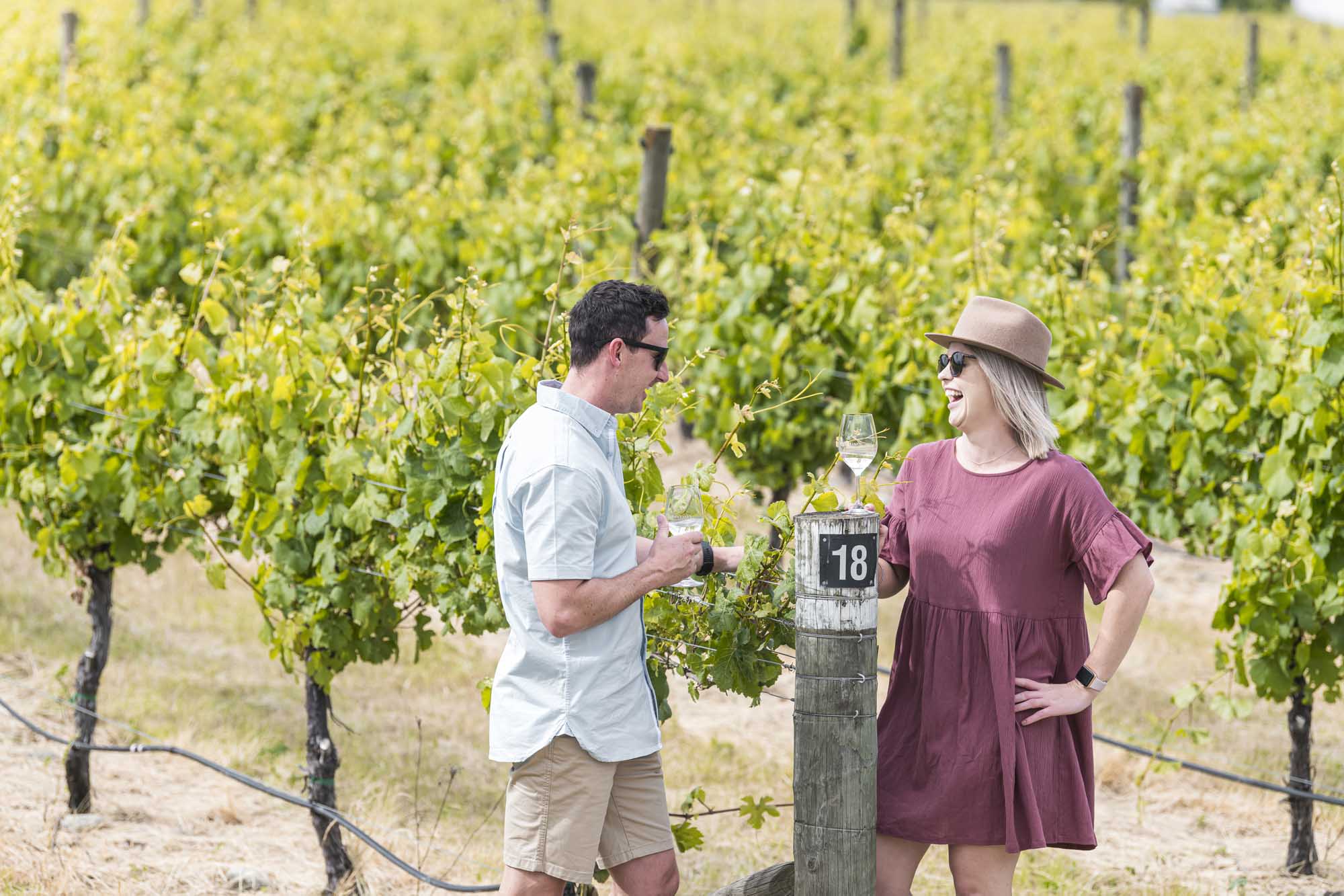 Sip Marlborough Wine Tour