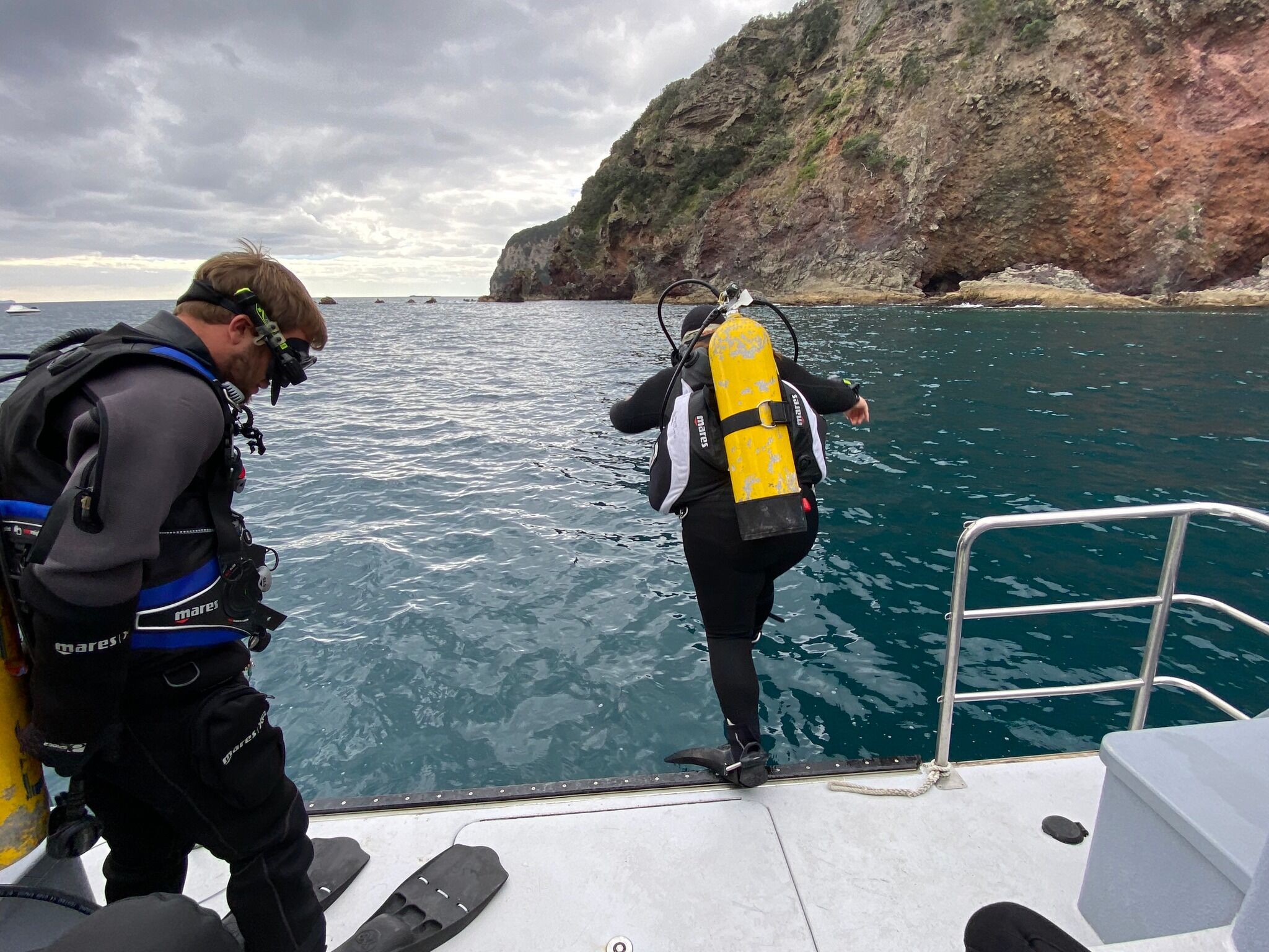 Goat Island or Tawharanui Marine Reserve Dive - Image 3