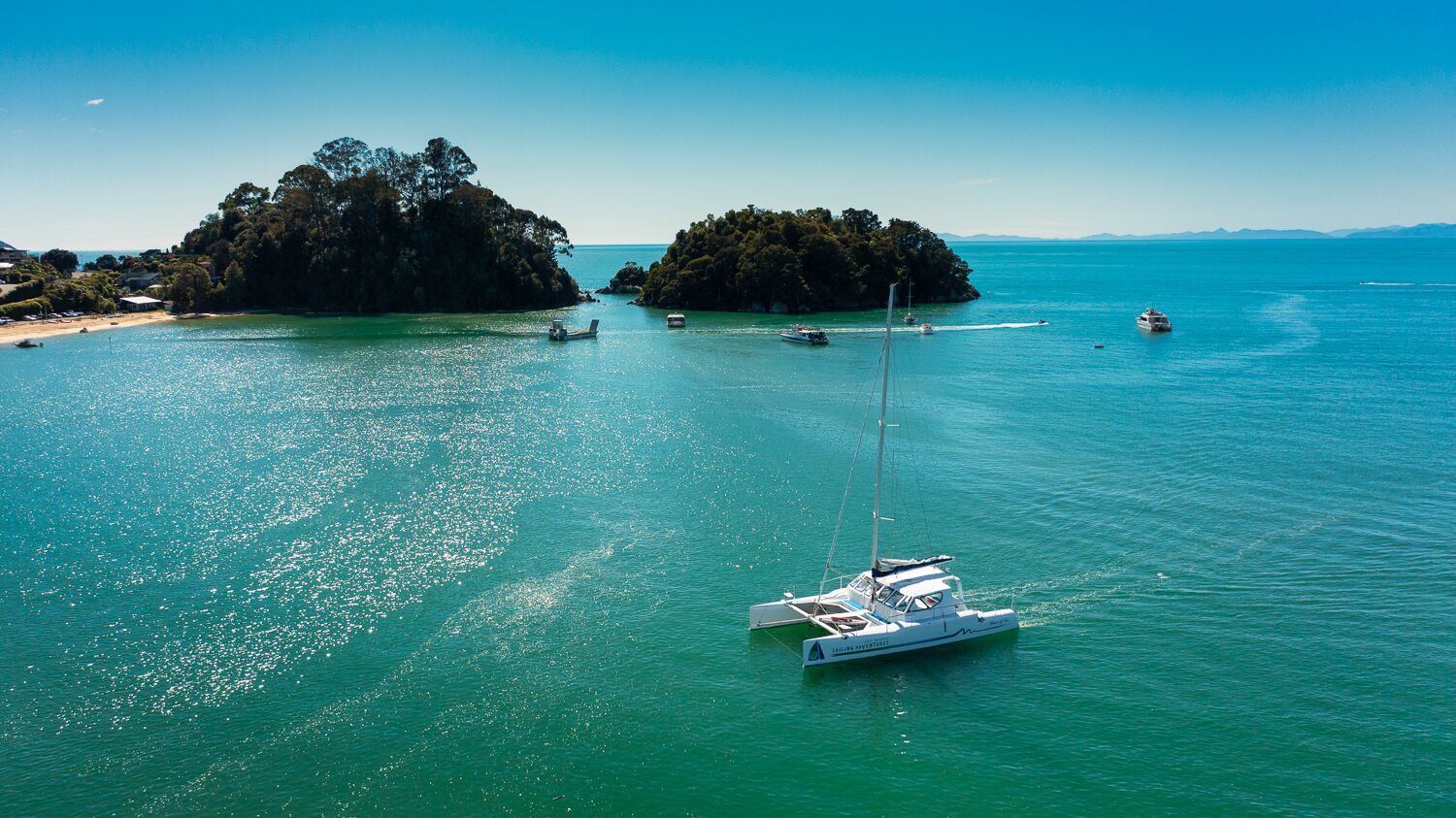 Full Day Sail in the Abel Tasman National Park - Image 3