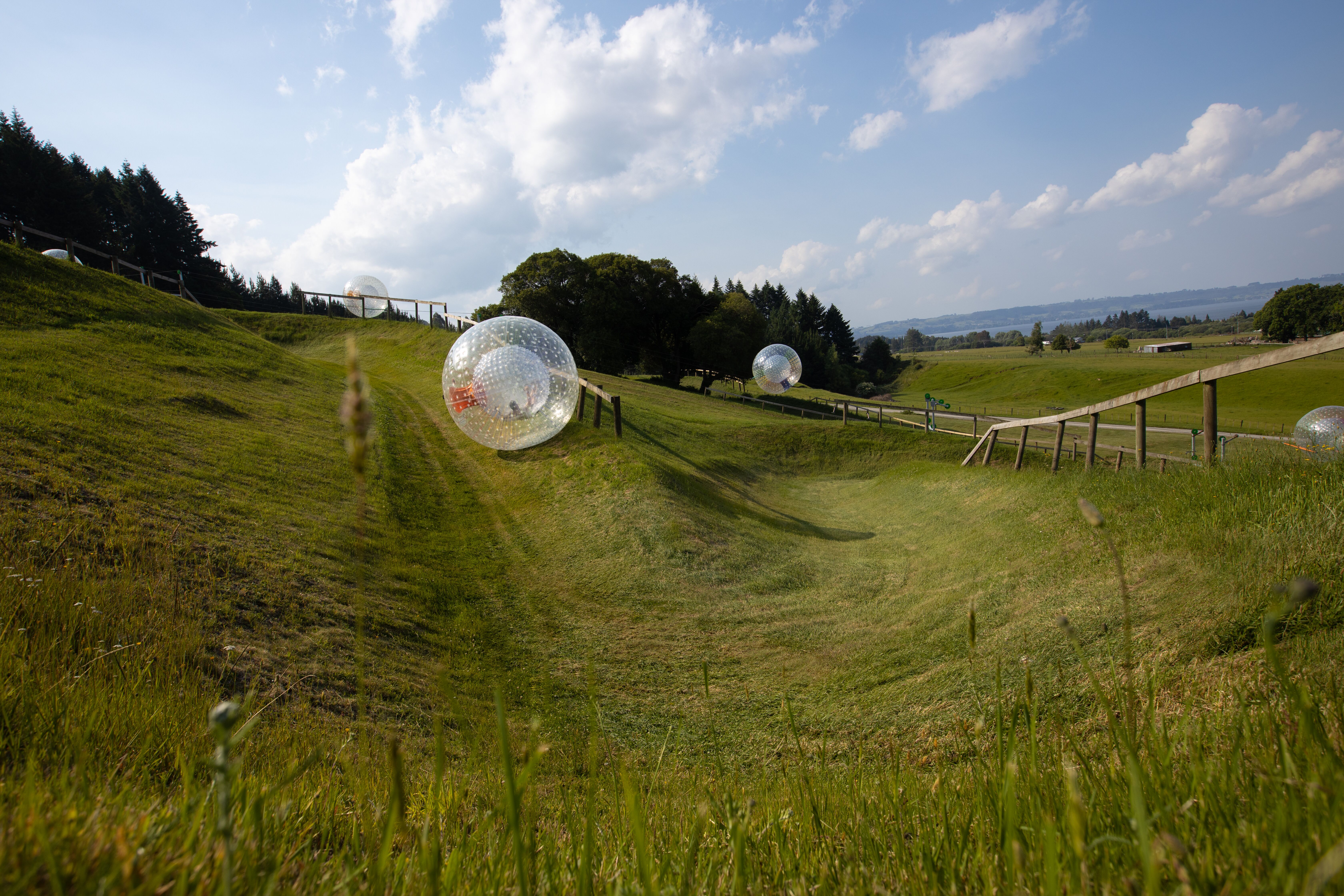 Race a friend or roll together in a Zorb down Mt Ngongotaha - Image 3