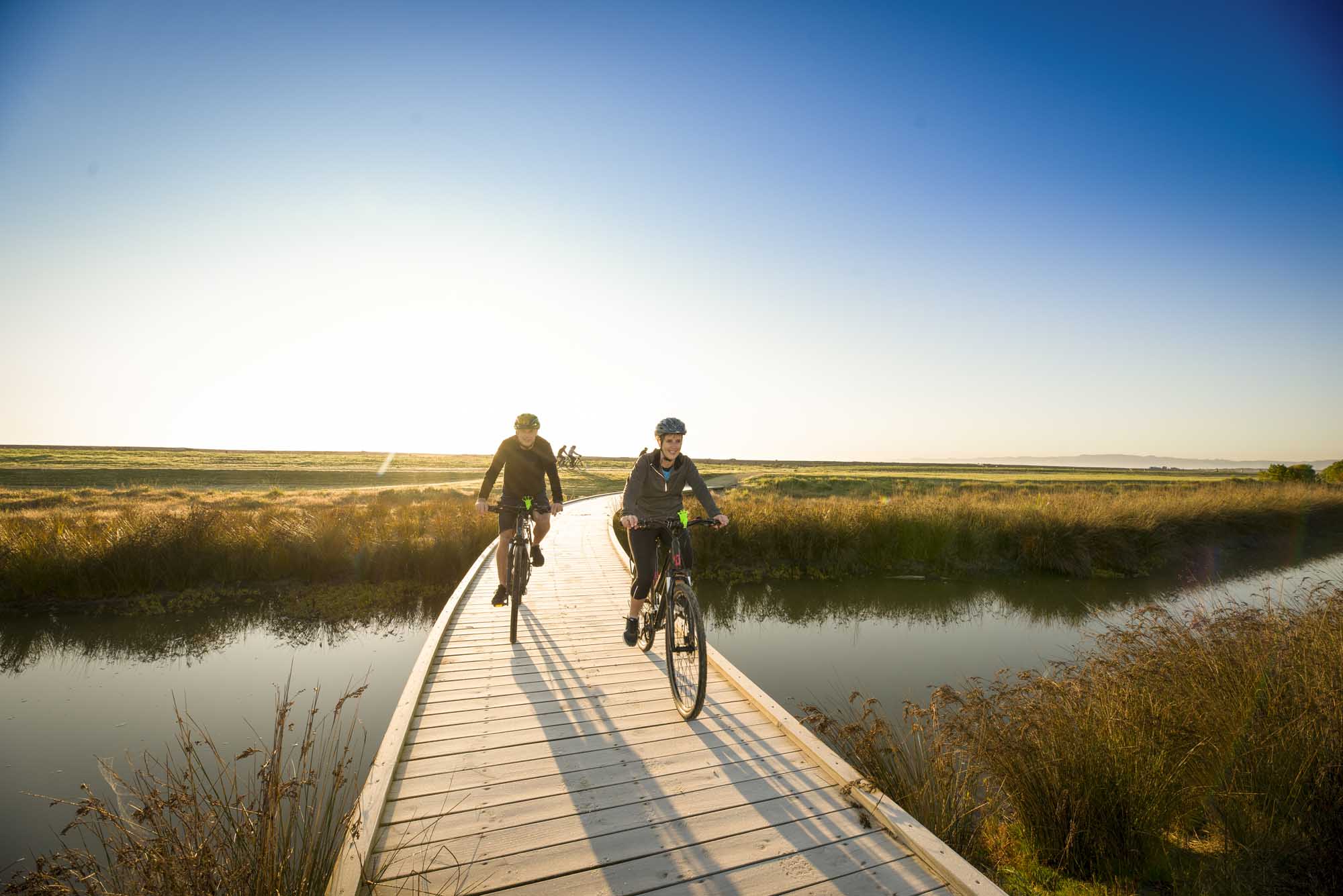 Wine Winery Vineyard Cycle Bicycle Tour Hawkes Bay Coast Chuffed Gifts