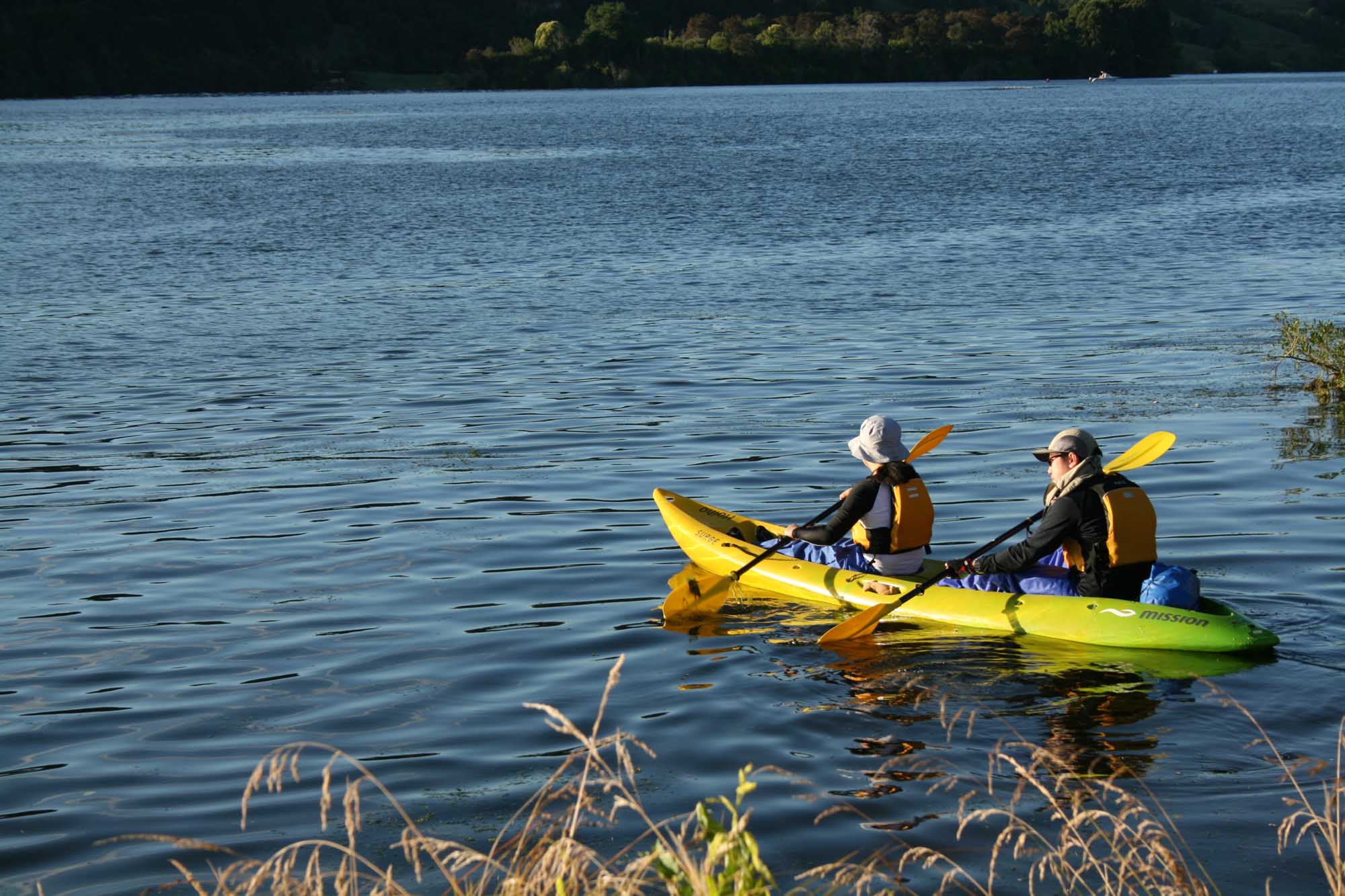 Full Day Waikato Kayak Adventure - Image 4