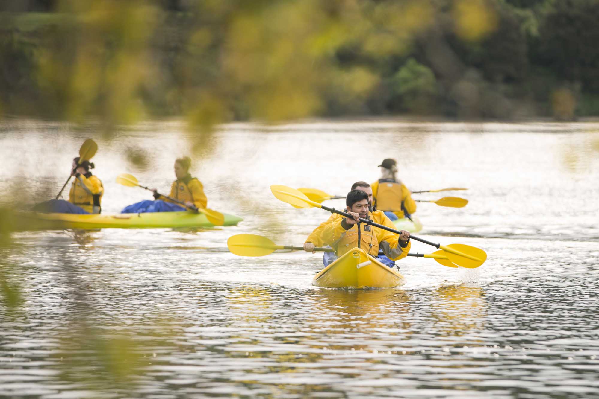 Full Day Waikato Kayak Adventure - Image 3