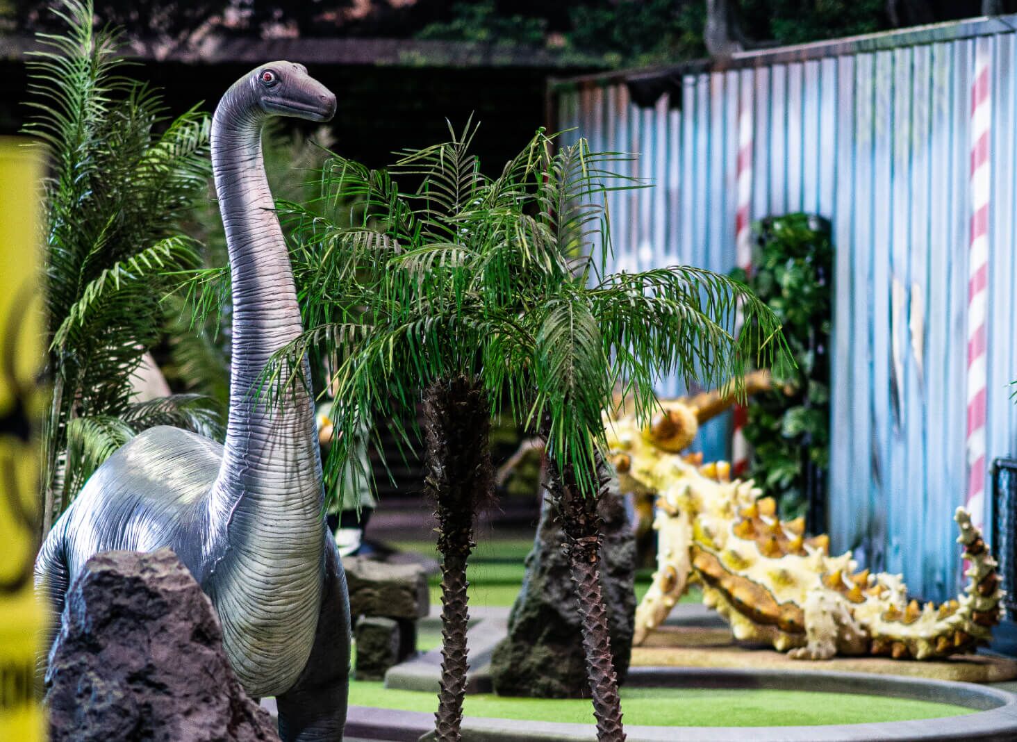 Auckland's Fastest Indoor Adventure Centre - Image 2