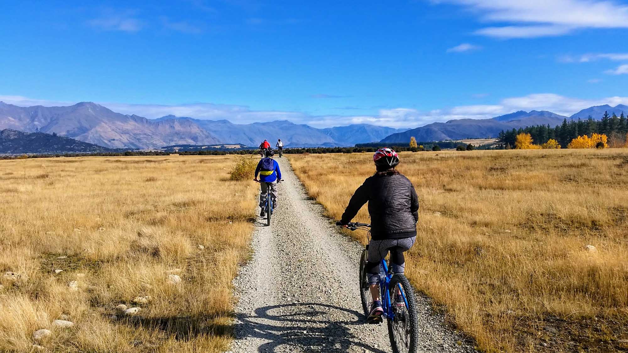 Easy Wanaka Bike Tour