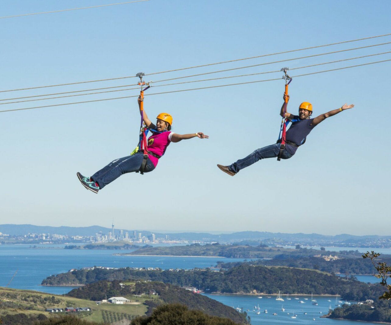 Waiheke Explorer day pass including ferry & Adult Zipline Tour