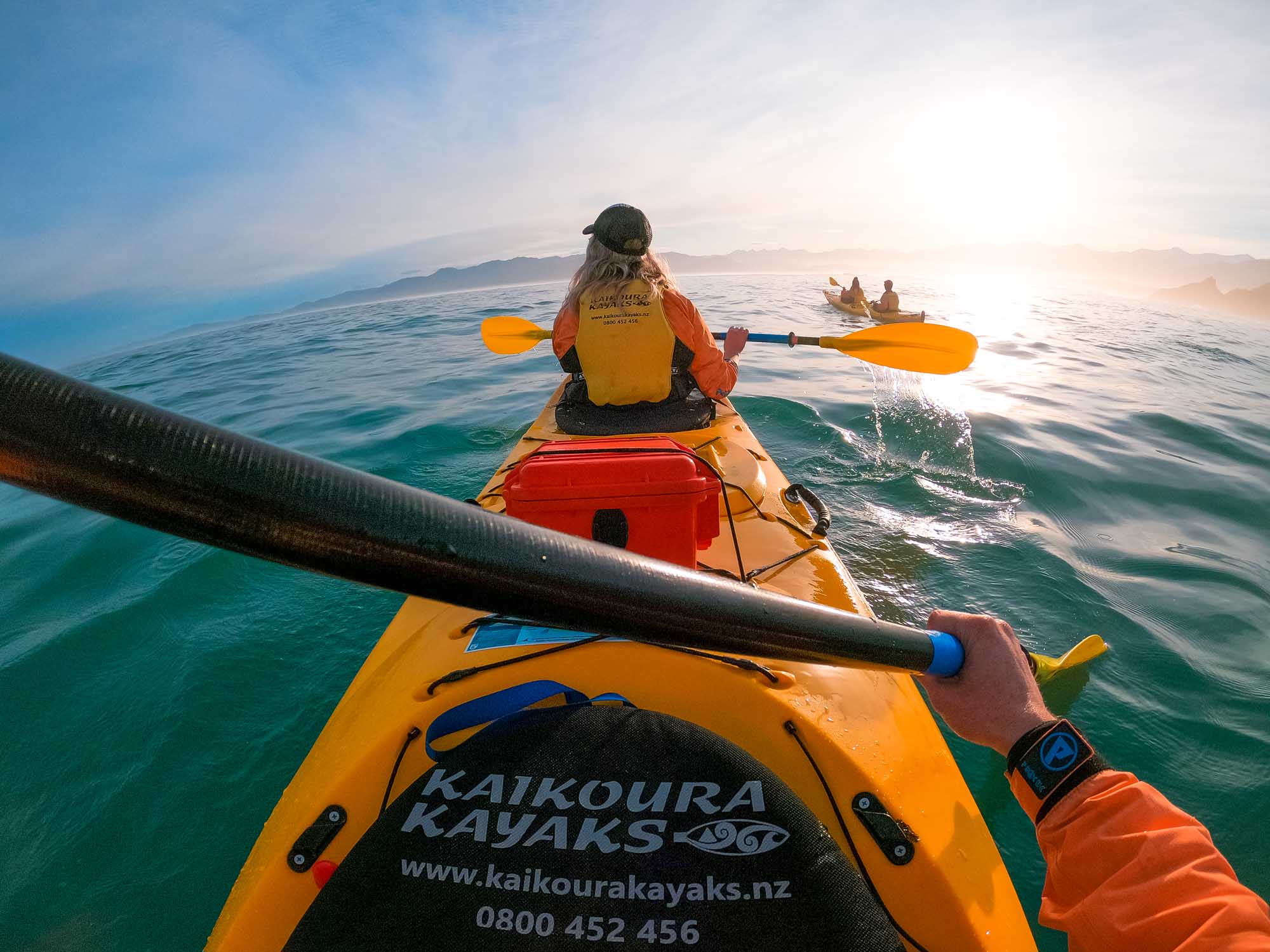 Guided Wildlife or Sunset Kayak off the Kaikoura Peninsula!