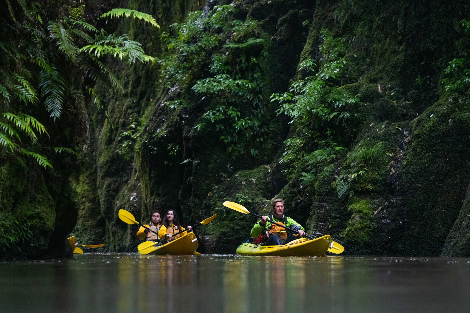 Full Day Waikato Kayak Adventure