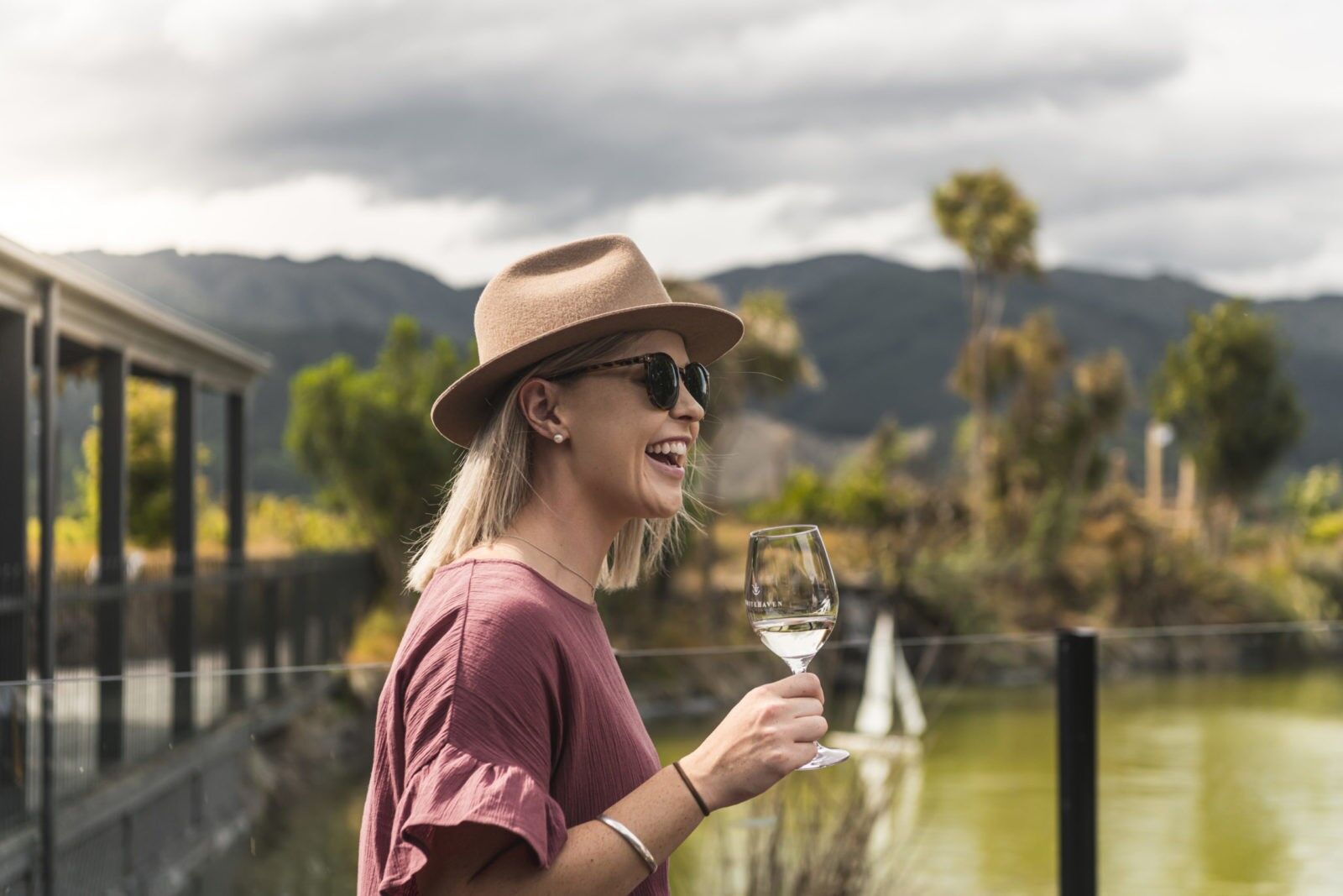 Sip Marlborough Wine Tour - Image 2