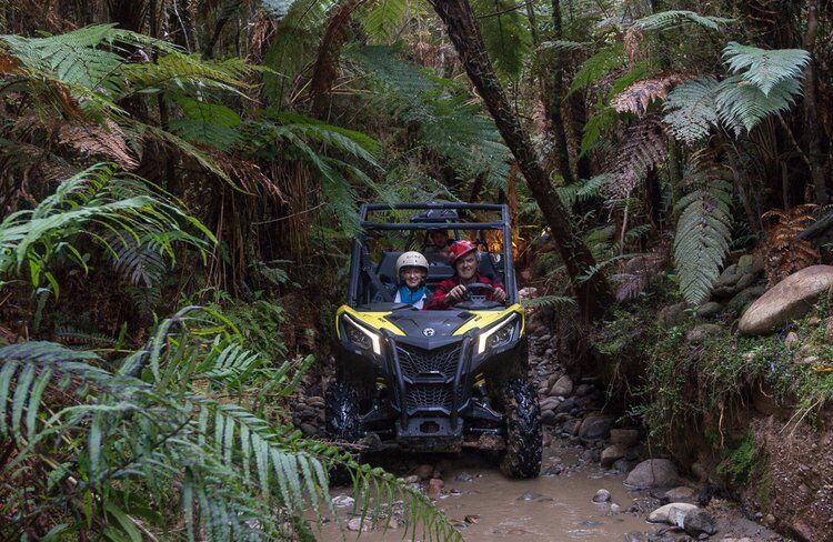 Self Drive Waterfall & Forest Buggy and Guided Glowworm Cave Tour with Rainforest Train - Image 3