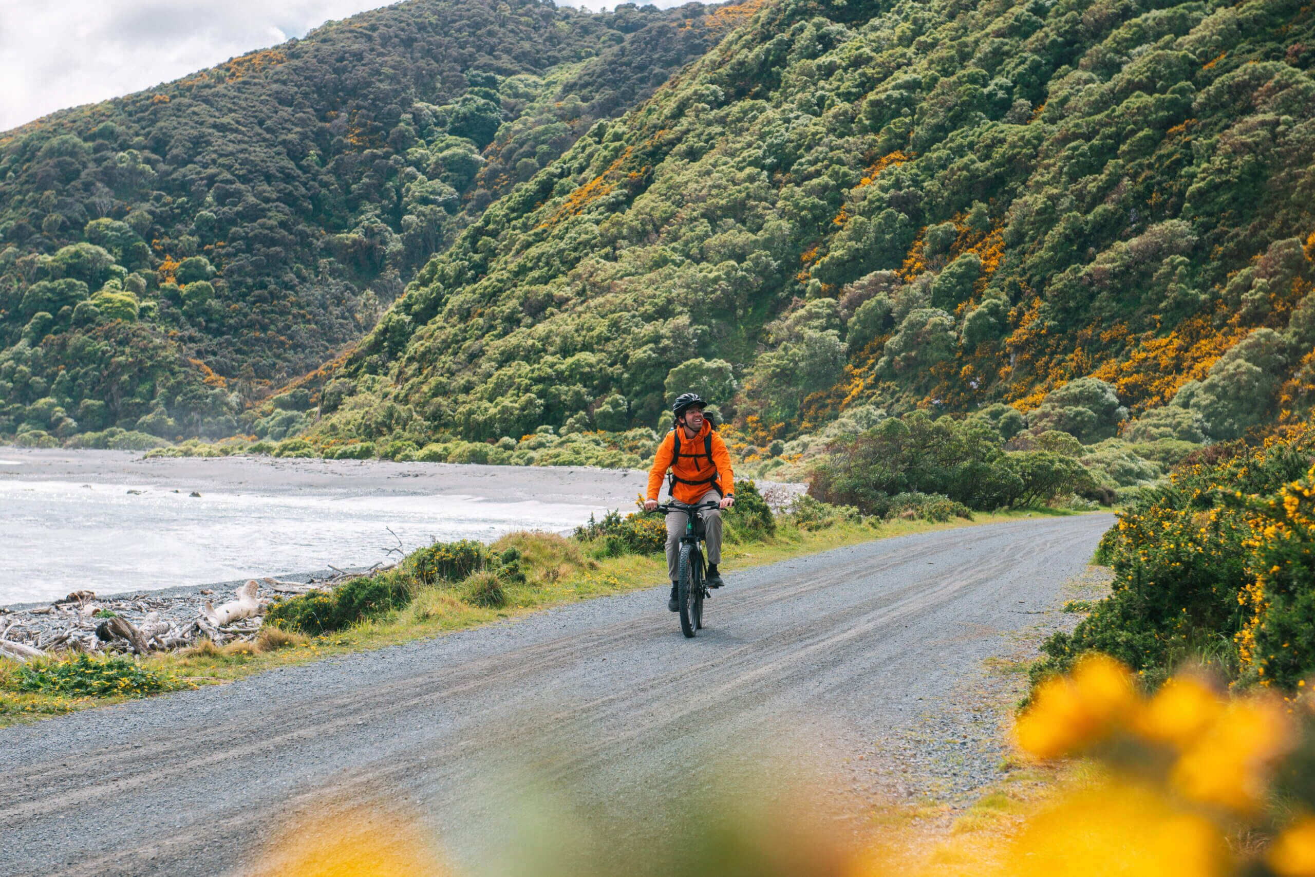 Full Day Exploring Wellington's Rugged Pencarrow Coast on E-Bikes - Image 4