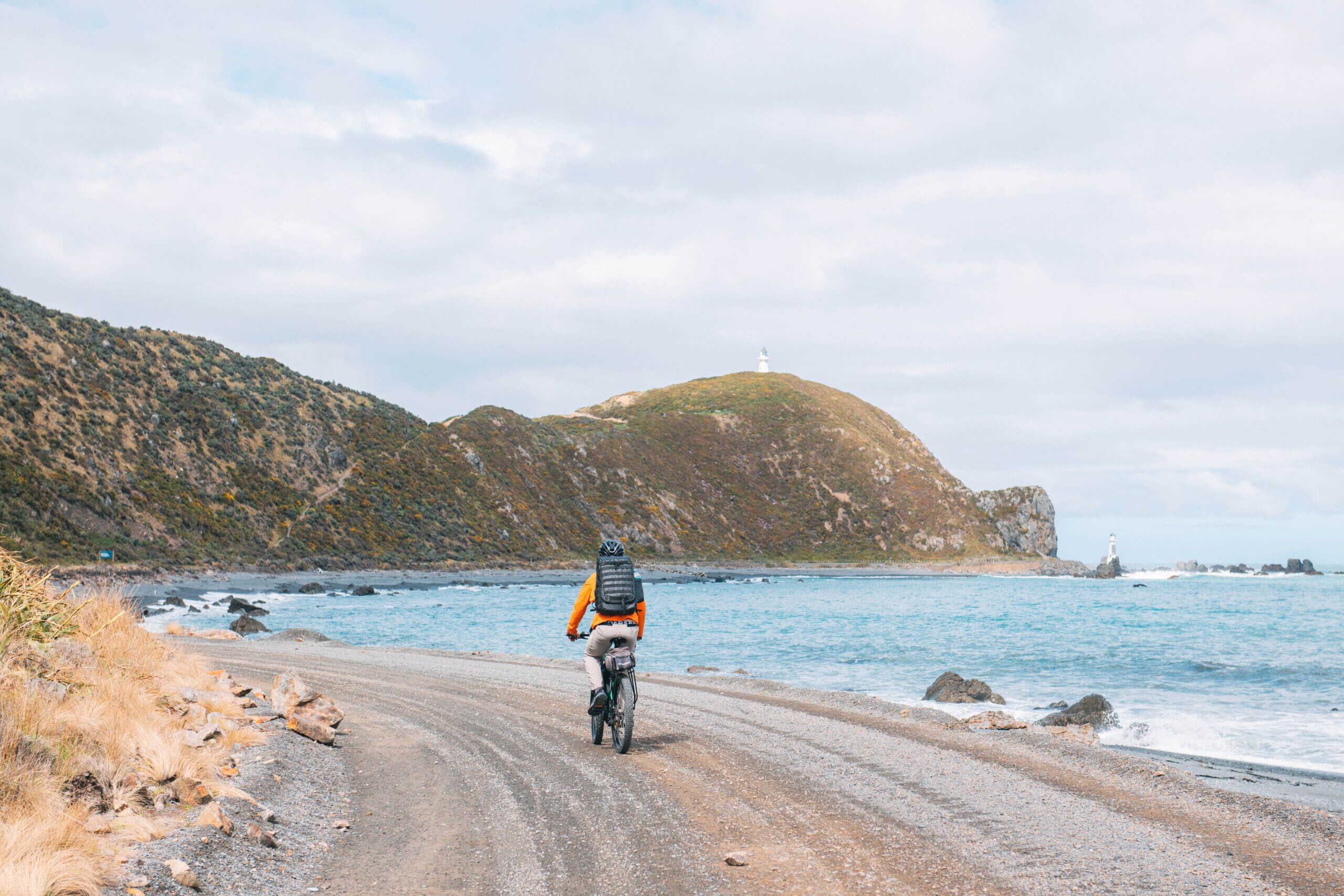 Full Day Exploring Wellington's Rugged Pencarrow Coast on E-Bikes - Image 3