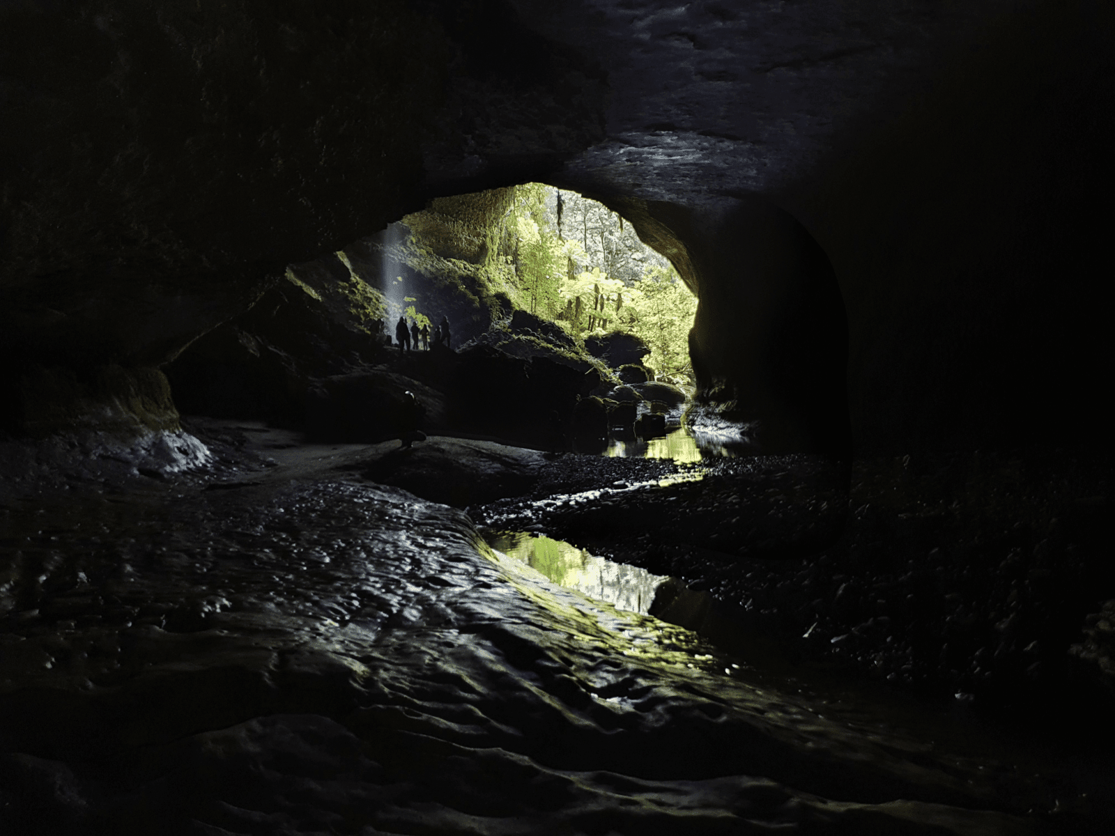 Underworld Rafting on the South Islands West Coast!