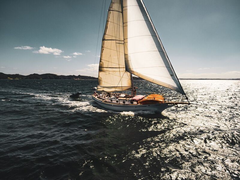 Full Day Sailing Adventure - Image 3