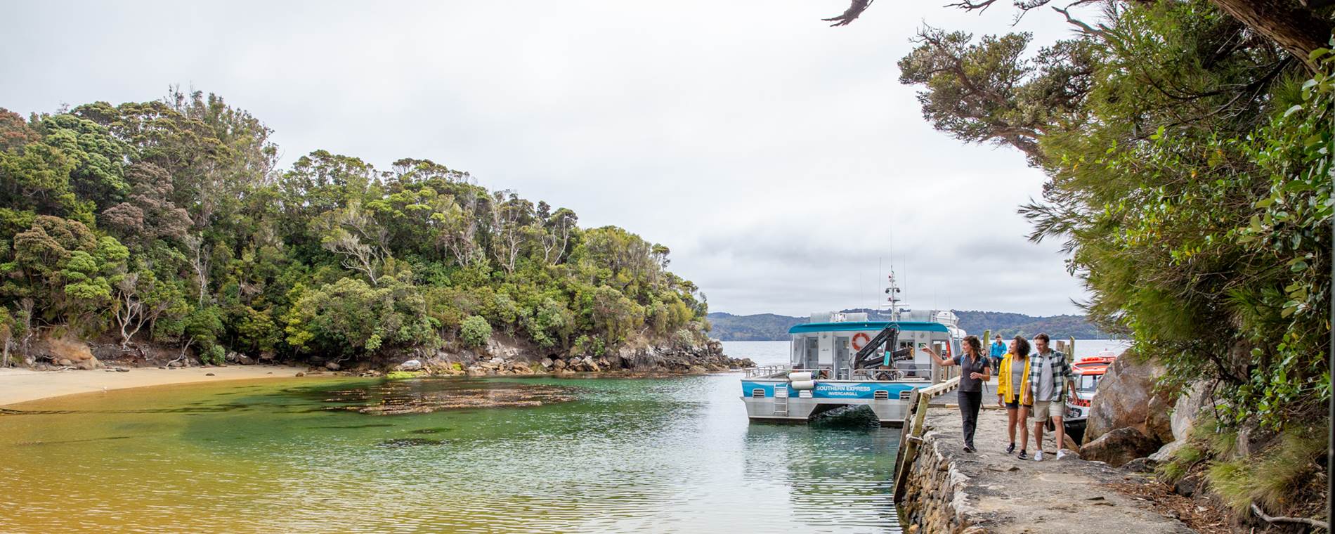 Stewart Island Bird Sanctuary Tour - Image 2