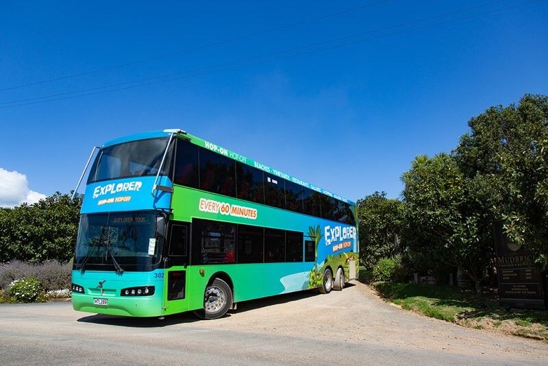 Waiheke Explorer day pass including ferry & Adult Zipline Tour - Image 2