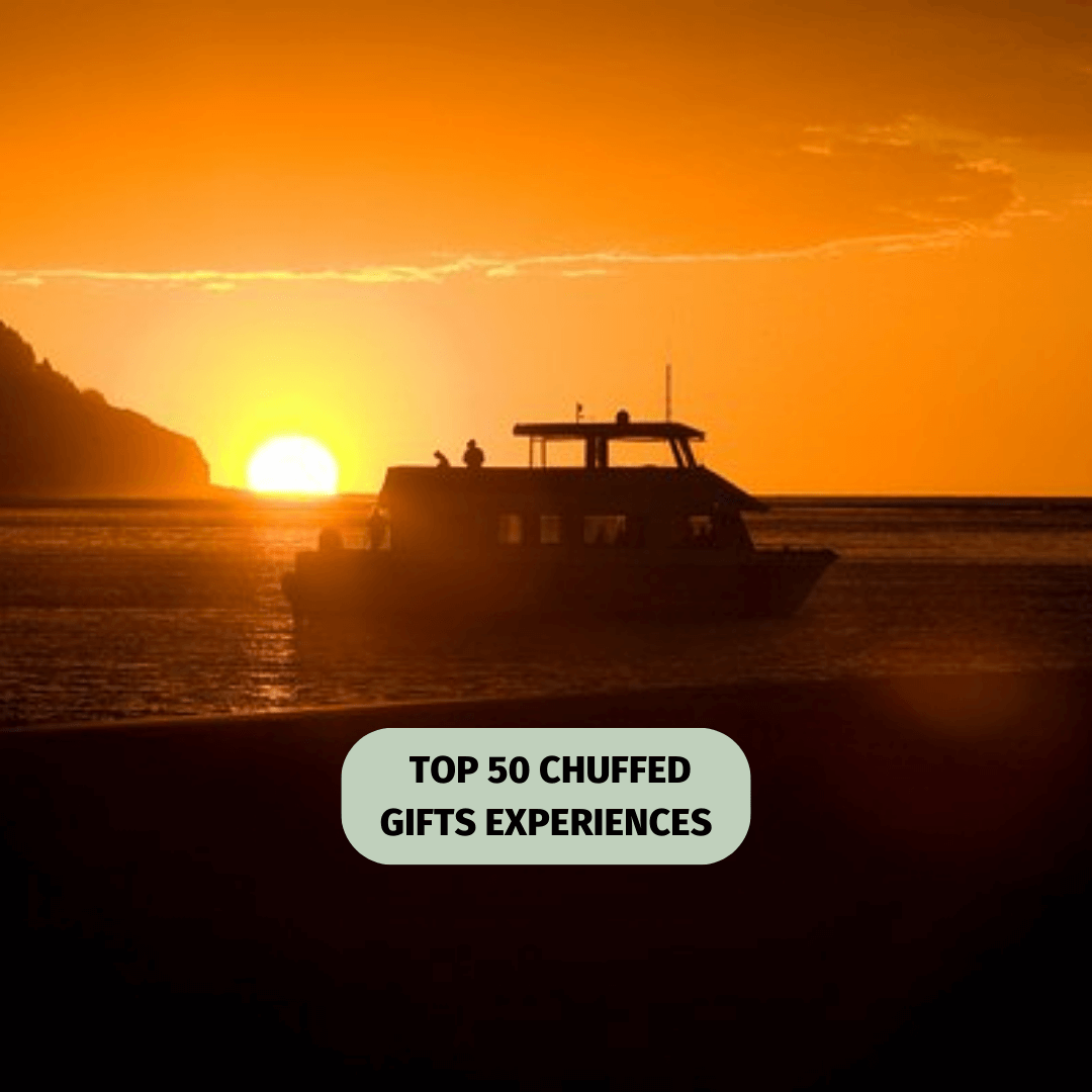 Explore Raglan's spectacular Harbour on a stunning sunset cruise