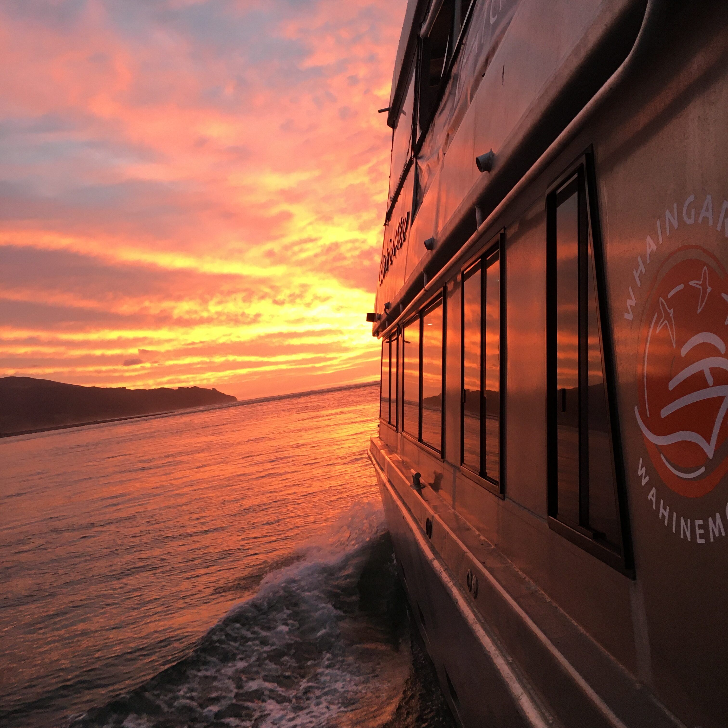 Explore Raglan's spectacular Harbour on a stunning sunset cruise - Image 4