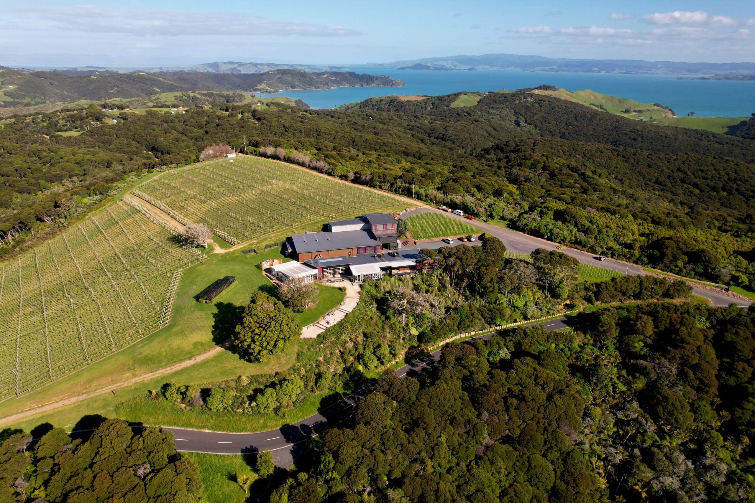 Return Ferry tickets, premium wine tasting, & Cheese Platter at Batch Winery, Waiheke Island - Image 2