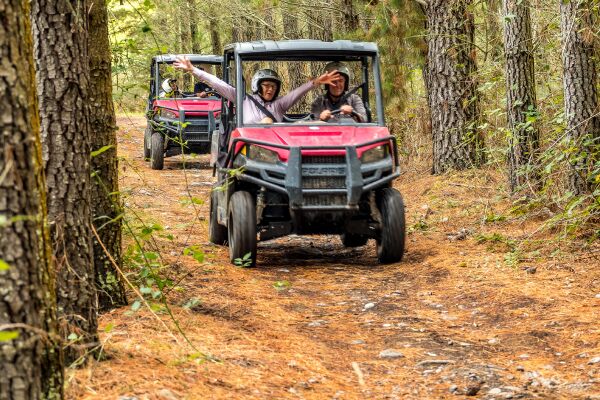 Tour Canterbury Forests & Rivers in an Off Road Buggy - Image 2