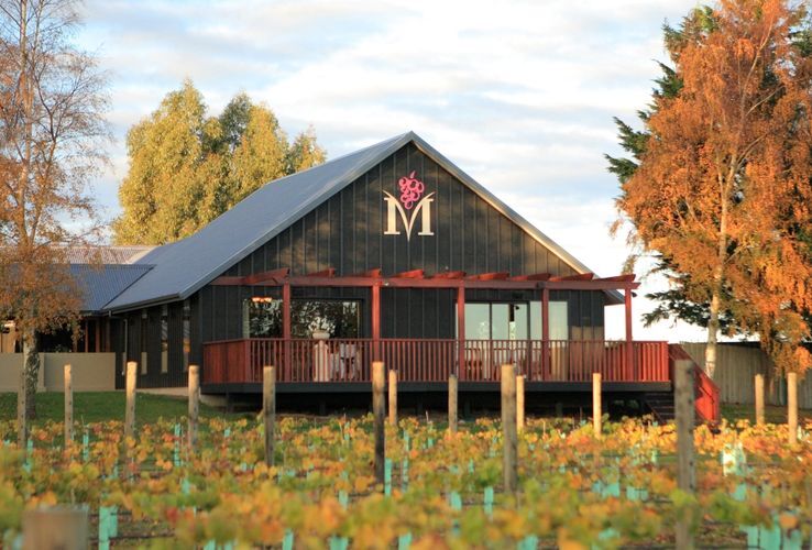 5 Wine Tasting & Two Course Lunch at Melton Estate Winery - Image 2