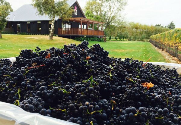 5 Wine Tasting & Two Course Lunch at Melton Estate Winery - Image 4