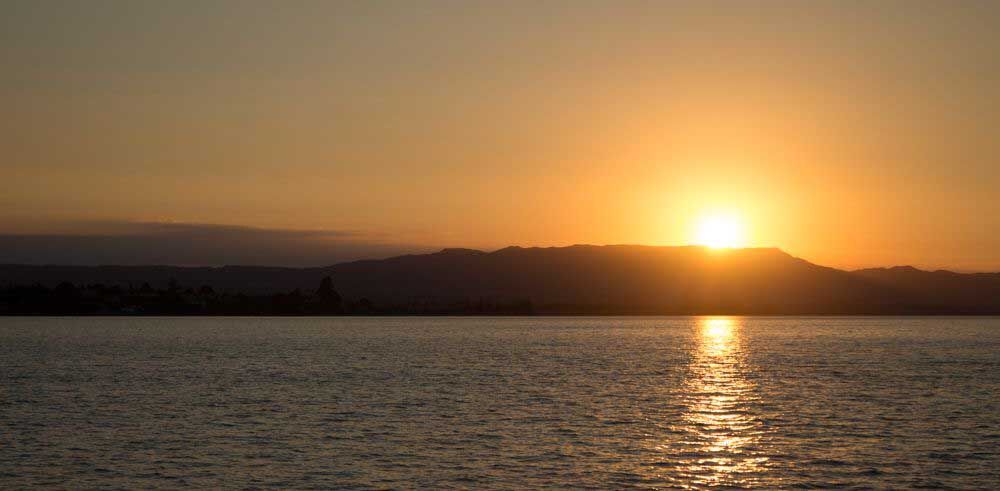 Scenic Tauranga Harbour Cruise with optional Matakana Island visit - Image 3