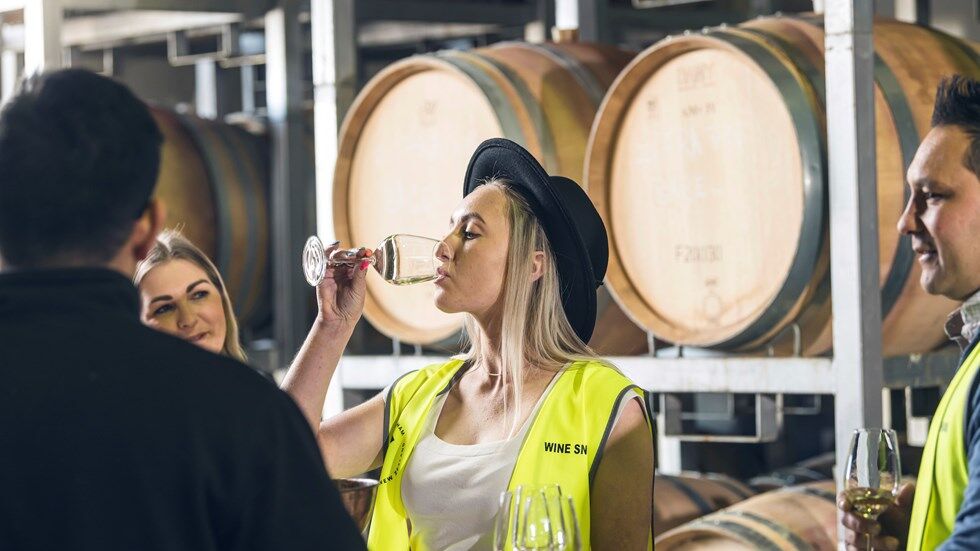 Sip Marlborough Wine Tour - Image 3