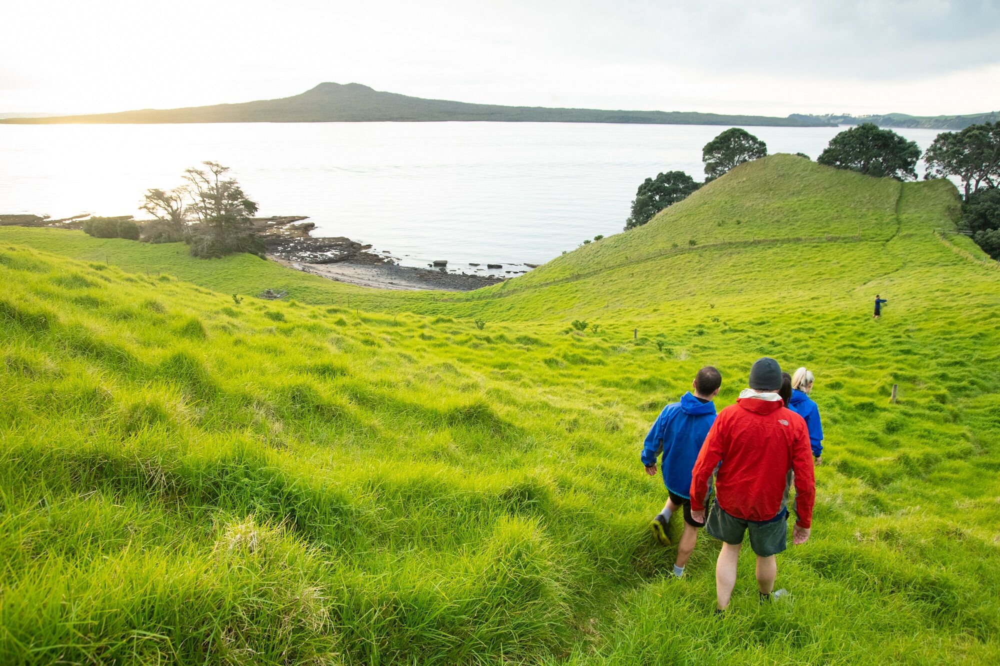 Half day Sea Kayaking tour to Browns Island in the Waitemata Harbour - Image 4