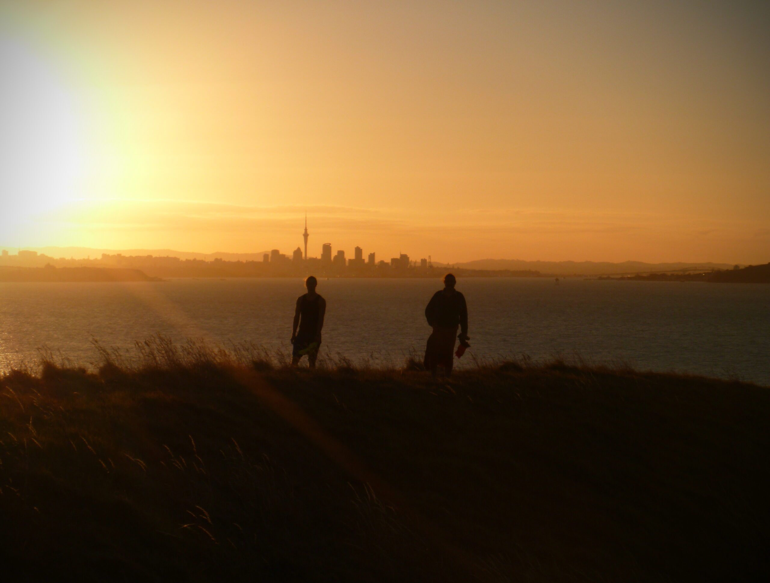 Half day Sea Kayaking tour to Browns Island in the Waitemata Harbour - Image 3