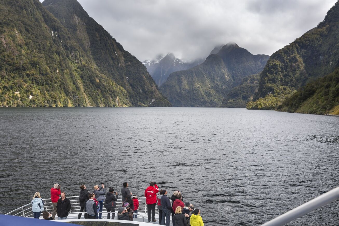 Doubtful Sound Wilderness Cruise in Fiordland National Park - Image 3
