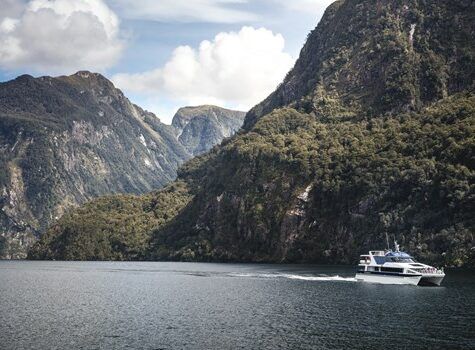 Doubtful Sound Wilderness Cruise in Fiordland National Park