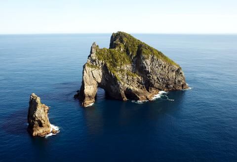 Experience Two Northland Marine Icons, the Poor Knights & Hole in the Rock - Image 3