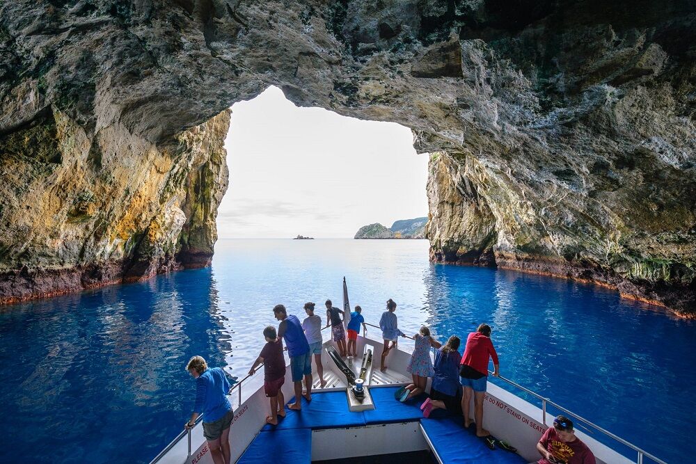 Experience Two Northland Marine Icons, the Poor Knights & Hole in the Rock - Image 4