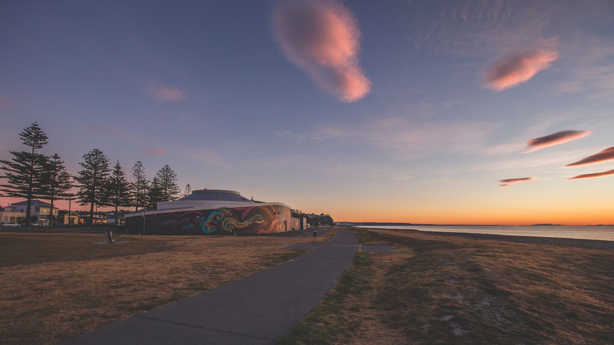 Little Penguin Close Encounter at National Aquarium Napier - Image 4