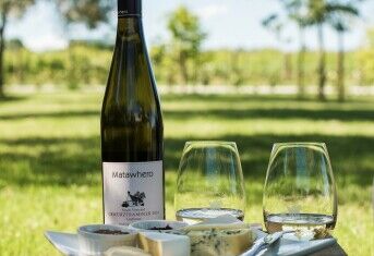 Cycling Winery tour of Gisborne with Lunch & Wine Tastings Included - Image 3