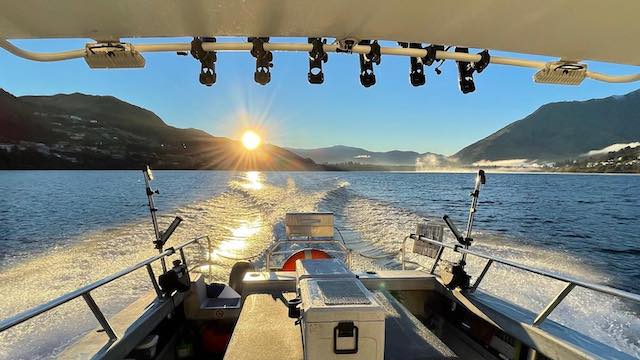 Head out from Queenstown for a fishing trip targeting Trout & Salmon! - Image 5