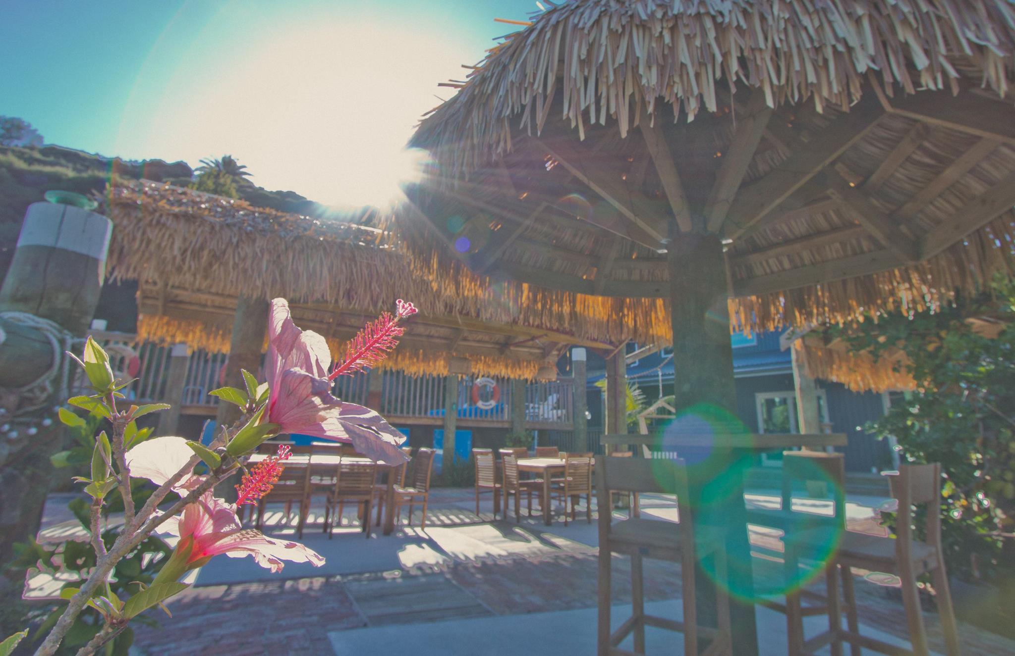 Overnight stay plus a day of cruising, snorkeling, watersports & lunch at Poor Knights Islands - Image 4