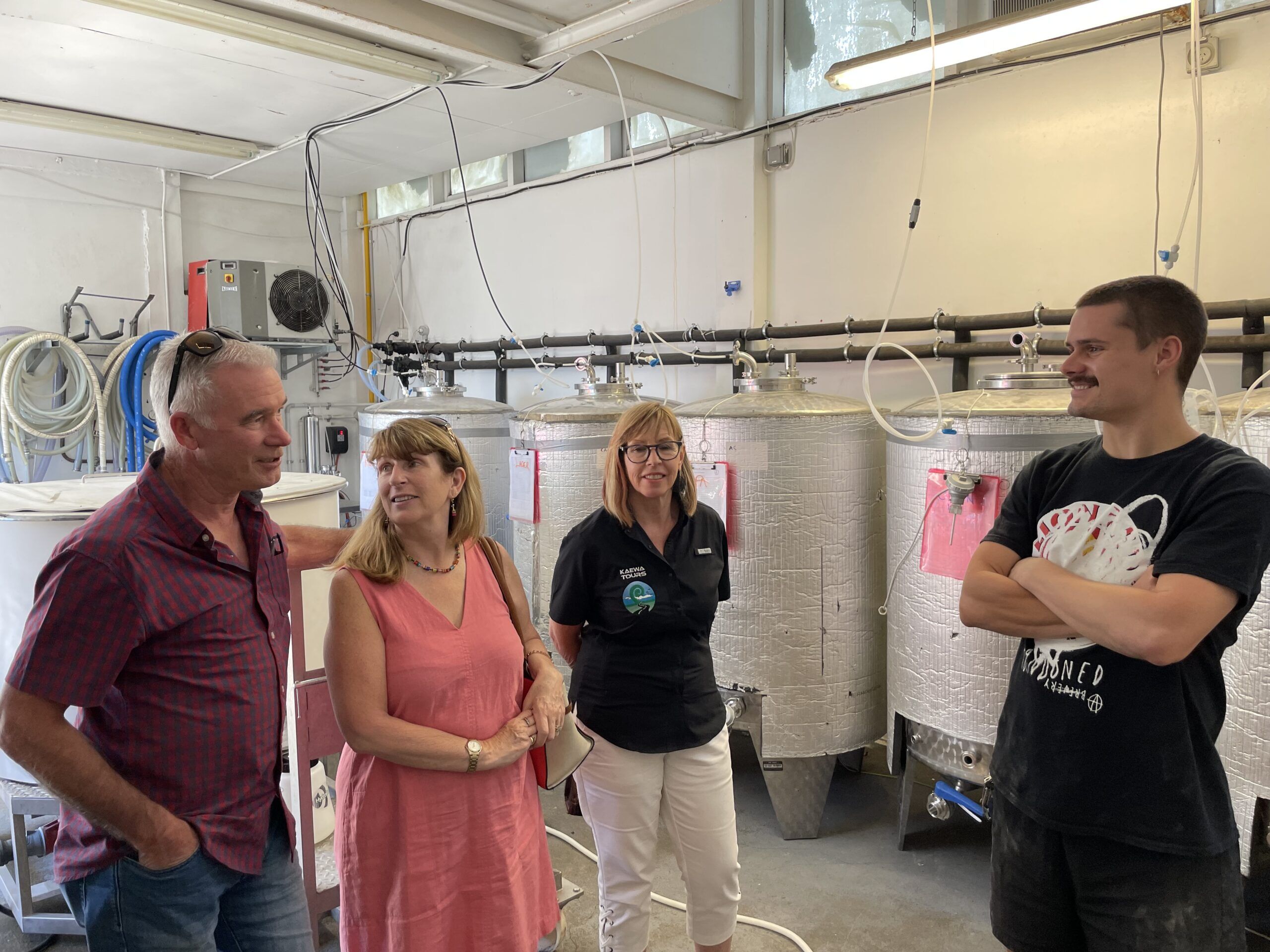 Craft beer tour in Wellington - Image 3