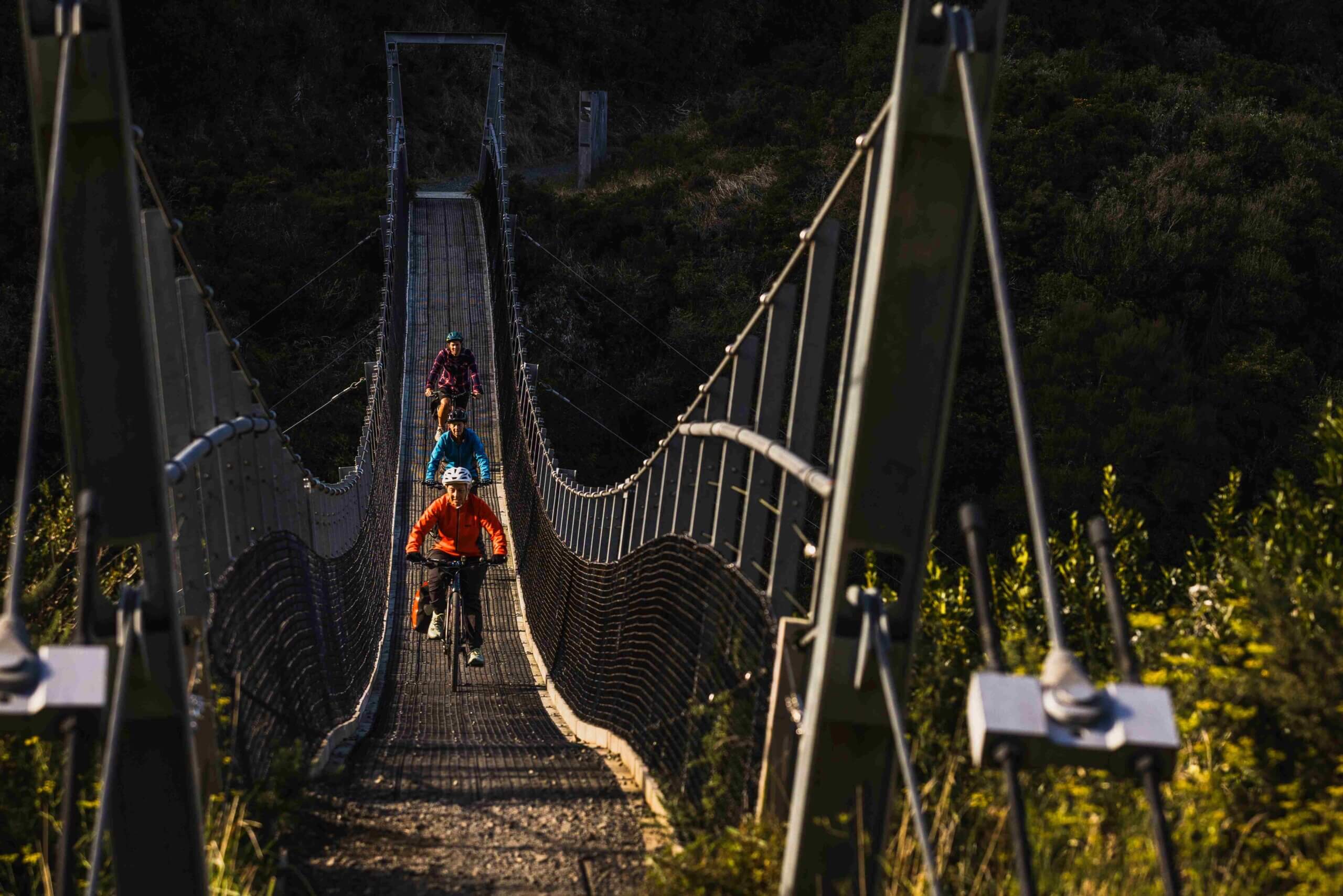 Remutaka Rail Trail eBike Explorer - Image 2